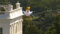 U Bílého domu stojí nafukovací kuře-Trump. Má symbolizovat prezidentovu slabost