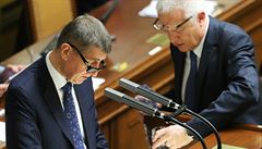 Andrej Babiš (vlevo) a Jaroslav Faltýnek při jednání v Poslanecké sněmovně o...