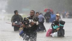 Počet obětí hurikánu Harvey vzrostl na 39. Bílý dům požádá Kongres o finanční pomoc