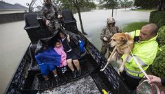 Z�chran��i na �luny berou tak� psy.