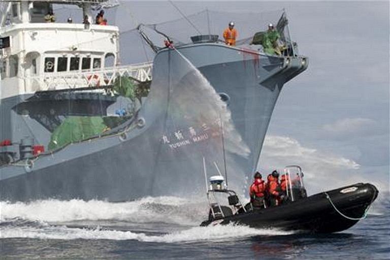 Aktivisté z oragnizace Sea Shepherd Conservation obkli�ují jednu z japonských...
