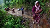 Rohingov vol radji strastiplnou cestu pes hory a bainy ne teror v Barm.