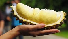 Durian | na serveru Lidovky.cz | aktuální zprávy