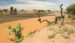 Bez písku není beton. Kvůli jeho těžbě vysychají v Africe řeky