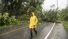 Stromy spadlé bhem ádní hurikánu Irma blokují v Dominikánské republice...