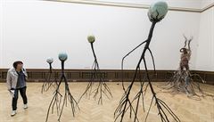 Výstava Nervous Trees v paském Rudolfinu. Autor: Kritof Kintera. Foto ze...