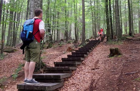 Ve slovinsk oblasti jmnem Rogla najdete teba schody uprosted lesa.