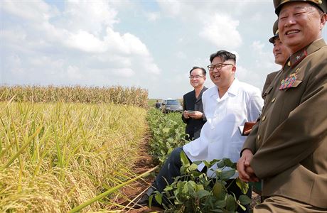 Severokorejský lídr na kontrole v polích.