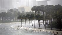 Hurikn Irma pustoil ulice Miami.