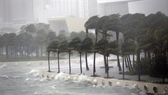 Hurikán Irma pustošil ulice Miami. | na serveru Lidovky.cz | aktuální zprávy