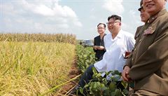 Hledání diktátora. Co sledují experti, když pátrají po zmizelém Kim Čong-unovi?