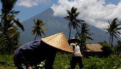 Farmái sbírají své plodiny poblí doutnající sopky Agung.