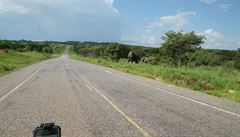 Nejen v národních parcích narazíte na slony (Uganda).