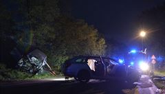 Řidič při předjíždění v protisměru zabil ženu a zranil dvě děti. Zemřel v nemocnici