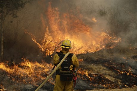 Na 35 mrtvých vzrostla bilance lesních poár v Kalifornii.