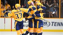 Martin Hanzal (10) a Pekka Rinne (35) bhem utkn Dallasu a Nashvillu.