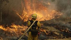 Pi lesnch porech v Kalifornii zemelo ji 35 lid. S plameny bojuje 9000 hasi