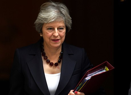 Britská premiérka Theresa Mayová v úterý naídila vyetování údajných sexuálních delikt politik.