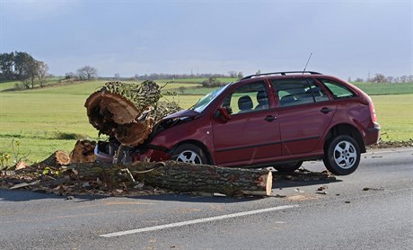 Nehoda v Záluanech, vítr shodil strom na auto.