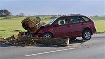 Nehoda v Zluanech, vtr shodil strom na auto.