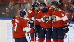 NHL: Hokejisté Floridy porazili San Jose, Češi nebodovali
