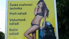 Reklamy často těží z nahoty a sexuality. | na serveru Lidovky.cz | aktuální zprávy