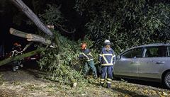 Nmetí poárníci odstraují spadlý strom v Hamburku.