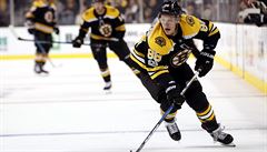 David Pastrák bhem zápasu mezi San Jose Sharks a Boston Bruins.