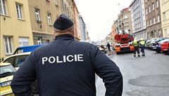 Slovensk policie vin echy z pouit padlanch bankovek. Hroz jim a 12 let vzen