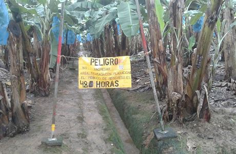 Aplikovn pesticidu na planti