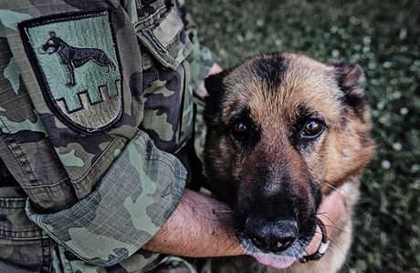 Pes nahradí pět vojáků. Stmeluje jednotku, spí s námi i v posteli, říká  kynolog | Lidé | Lidovky.cz