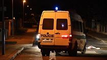 Policie vyetuje napaden osmnctilet eny v Hornch Mcholupech. tonk ji...