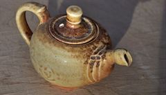 Mám pocit, �e v rámci klasického vzd�lávacího systému tato mo�nost postupn�...