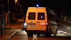 Policie vyetuje napadení osmnáctileté eny v Horních Mcholupech. Útoník ji...
