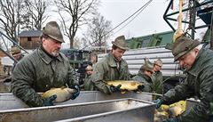 Rybái zahájili tídenní výlov árského rybníka na eskobudjovicku.
