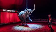 V cirkusu Berousek mají i slona.