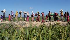 Rohingové elí v peván buddhistické Barm dlouhodobé diskriminaci. Barmské...