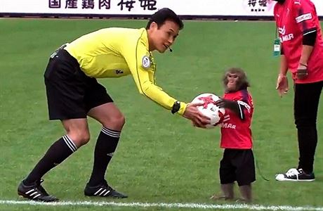 Fotbalový rozhodí a malý makak.