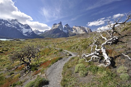 NP Torres del Paine, cesta k Los Cuernos, Patagonie, Chile