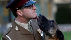 Britský vojenský pes obdrel medaili za statenost