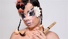 Björk | na serveru Lidovky.cz | aktuální zprávy