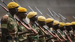 Zimbabwská armáda bhem zkouky na prezidentskou inauguraci.