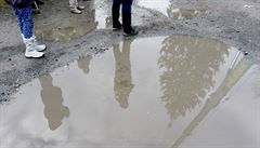 estaedesát let starý smrk nebude jako vánoní strom slouit poprvé, jedna z...