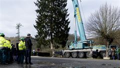 Tip v souti o strom na Staromstské námstí dal mu, jen návrhy na...