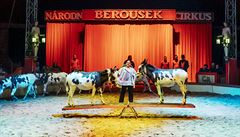 Cirkus Berousek: na houpace.