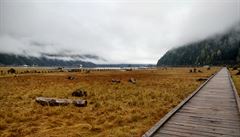 Drtivou v�t�inu cesty nemáte signál a �iroko daleko není �ivá du�e. Benzínka je...