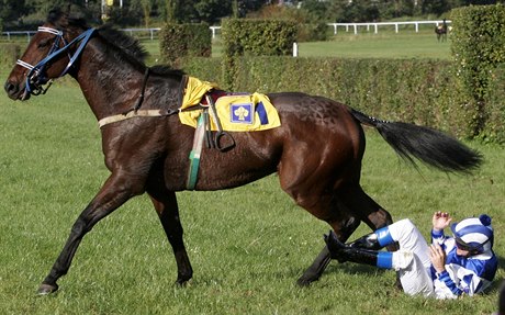 Legenda Velké pardubické Maskul.