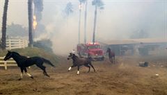 Vydení kon v San Diegu utíkají ped poárem