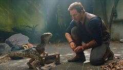 Owen Grady (Chris Pratt) a jeho kamarád, raptor Blue. Snímek Jurský svt: Zánik...