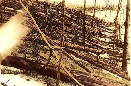 Zkáza lesa zpsobená výbuchem, fotografie Kulikovy výpravy z roku 1927